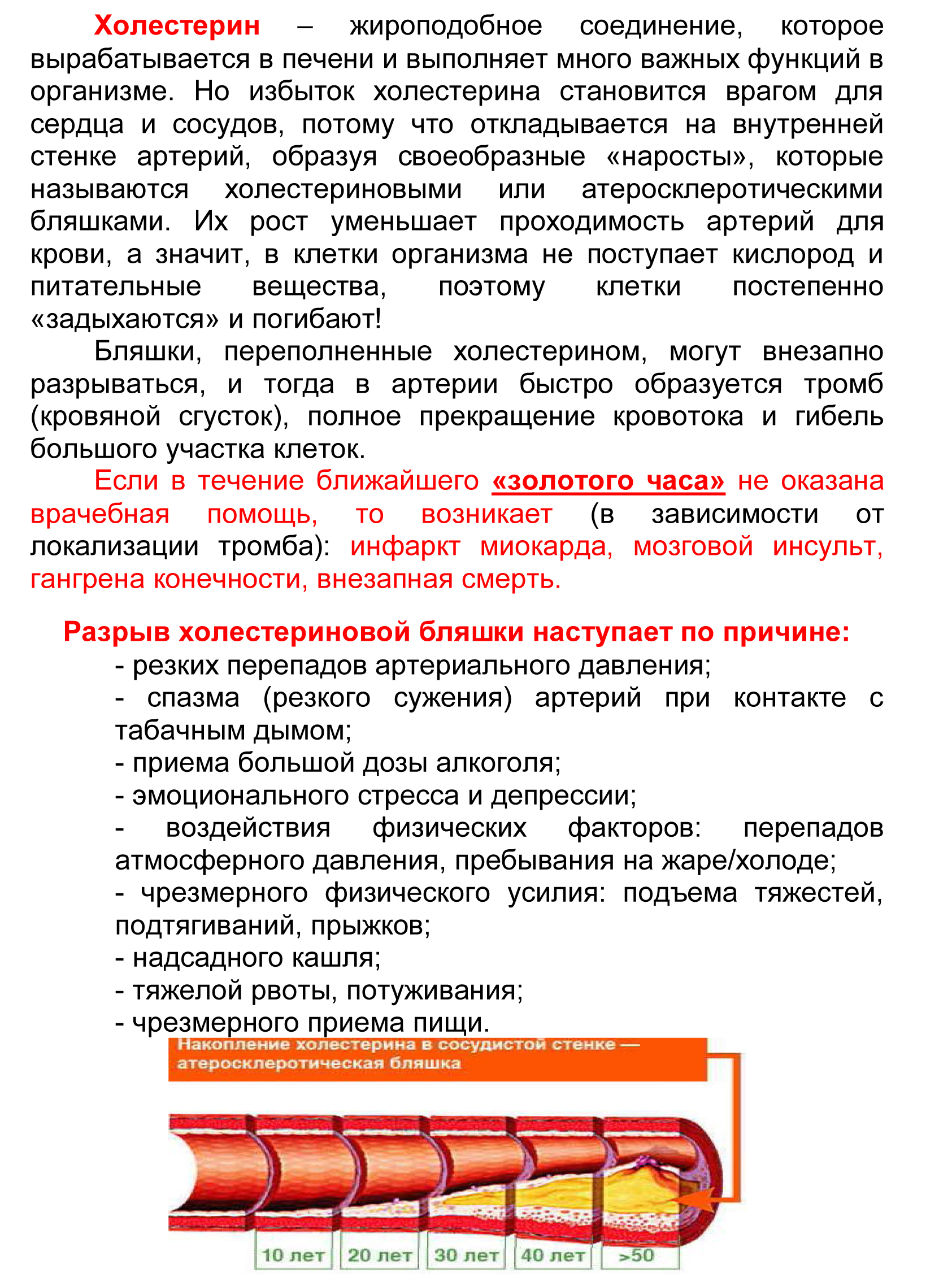 Памятка “Сердечный враг номер один – избыточный холестерин” | БУЗ УР  